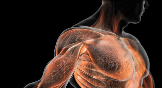 Atlas Massage & Training