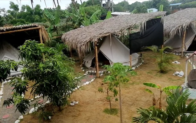 El Zoo Hostel & Pool