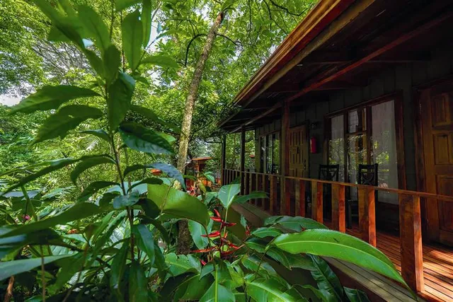 Jaguarundi Lodge Monteverde