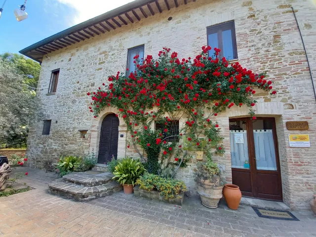 Agriturismo il Podere di Petrignano di Assisi