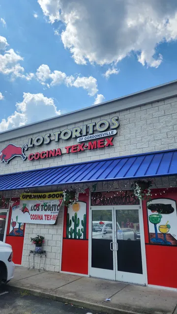 Los Toritos Tex Mex Gordonsville