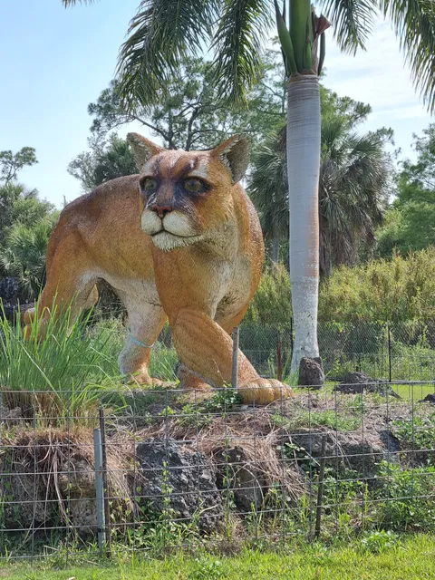 Everglades Pole Boat Safari Tours