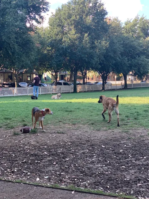 Meadows Dog Park