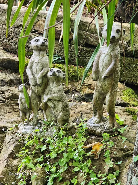 Adelaide Hills Bed and Breakfast