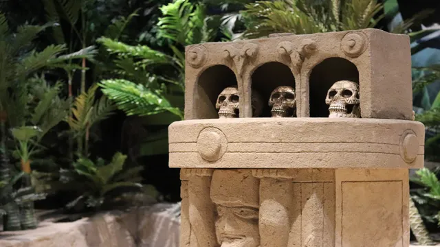 Portal Adventures - Eugene and Springfield