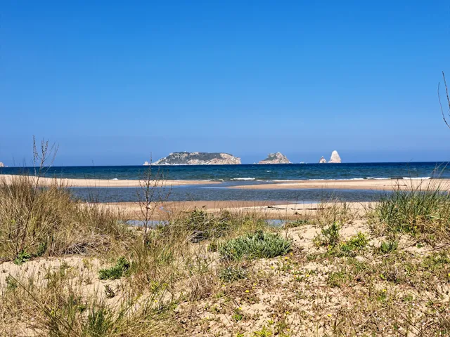 Aiguamolls de l'Empordà