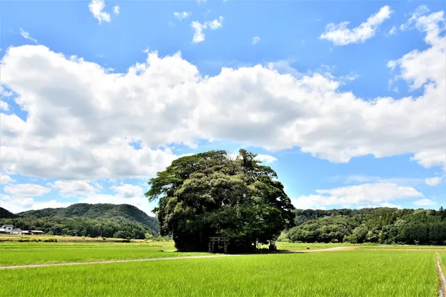 小原神社（客神社）