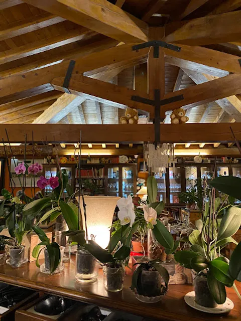 Ristorante La Tana Degli Orsi