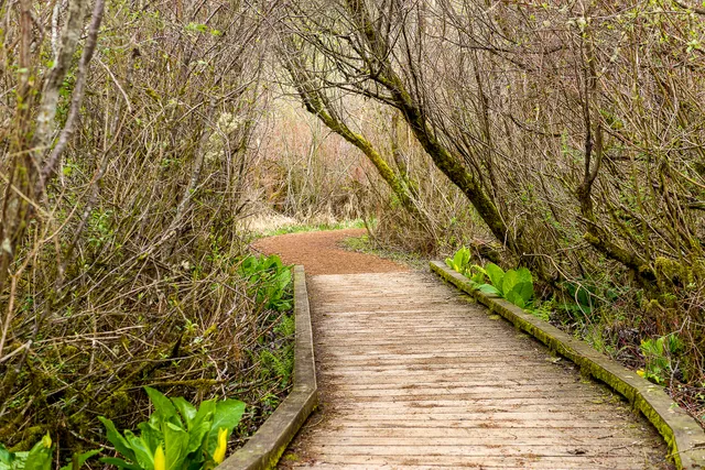 Bellefields Trailhead Parking