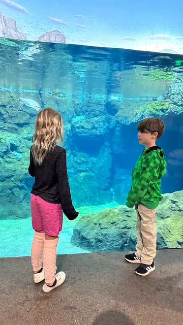 Houston Zoo