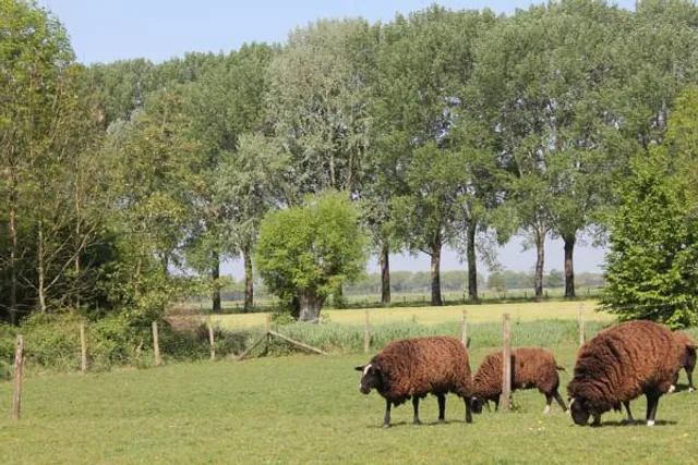 Rest & Rust Apartment / Cohensultancy B.V.