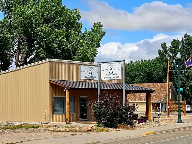 Flying A Animal Health