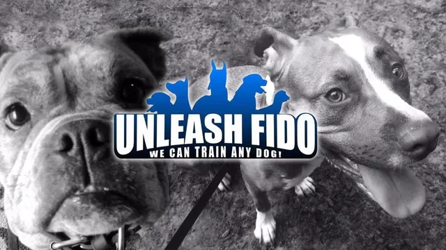 Unleash Fido