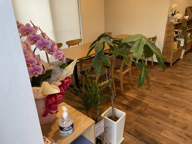 カチコチカフェ