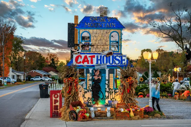 Smoky Mountain Cat House