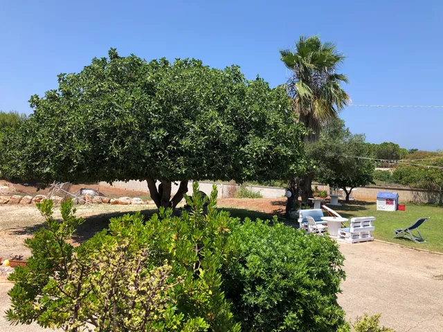 I Giardini dell'Agave