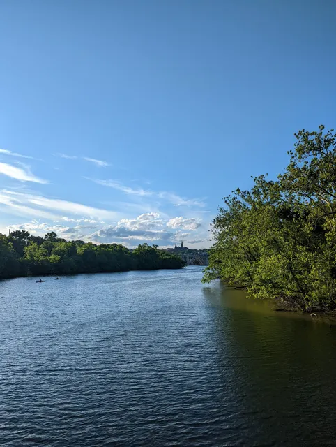 Theodore Roosevelt Island Pedestrian Bridge