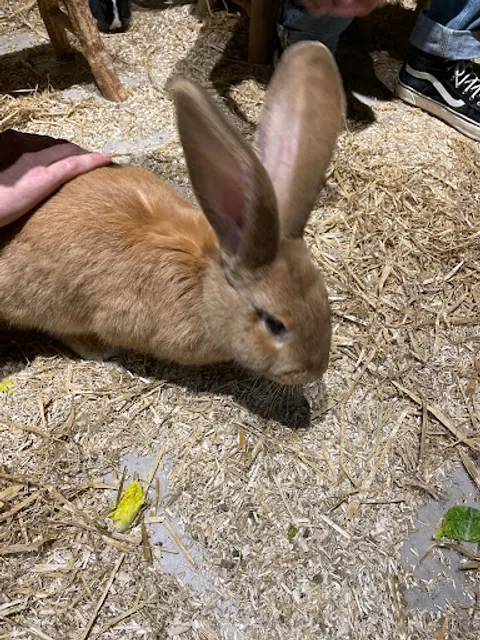 Le Monde de Noé - Centre Dauphine