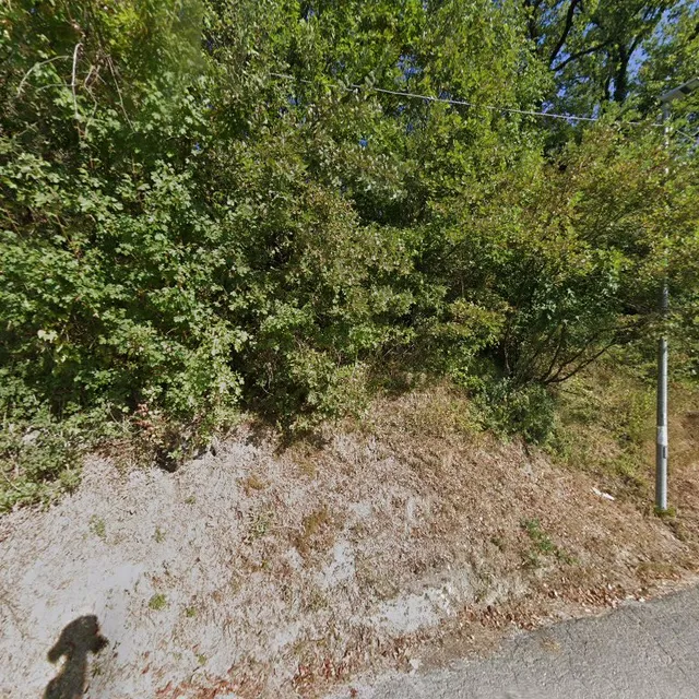 Bar Jolly Di Fratellini Stefania