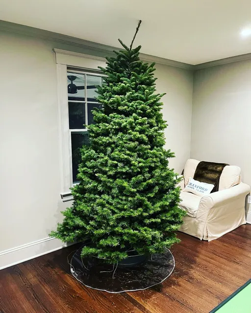 Kevin’s Tree Lot Jersey City