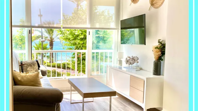 Estudio 31 Molinaptos