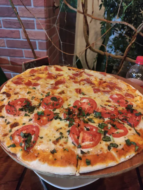 Rock Munchies - Veracruz