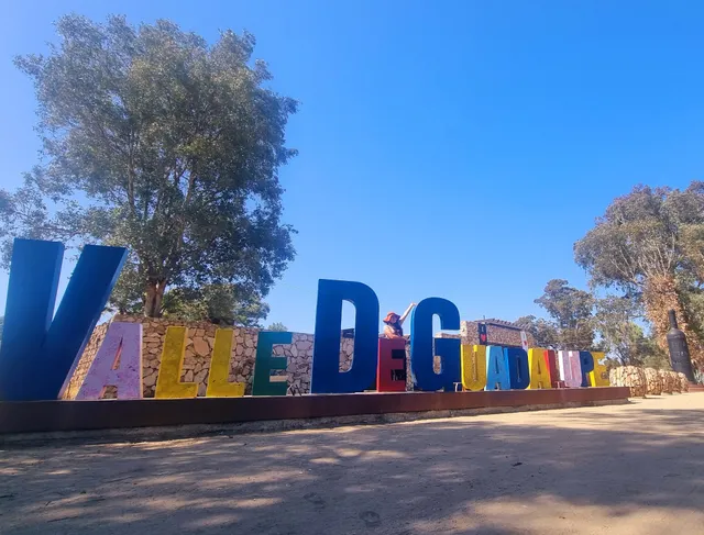 VDG - LETRAS DE VALLE DE GUADALUPE