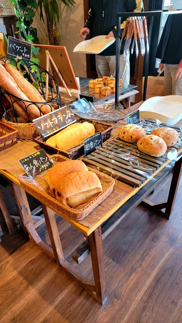 photo-1