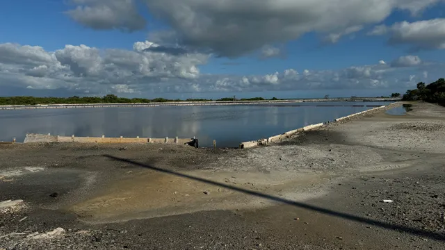 Salinas de Cabo Rojo