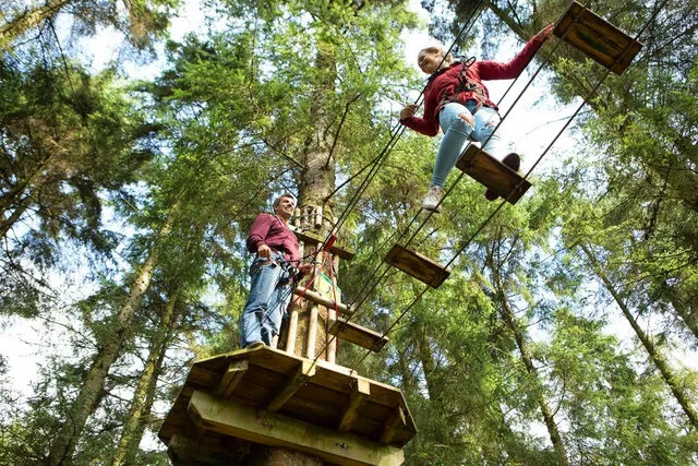 Go Ape Sherwood