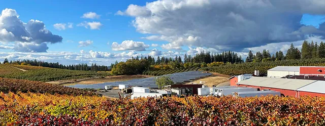 Barsotti Juice Co Ranch