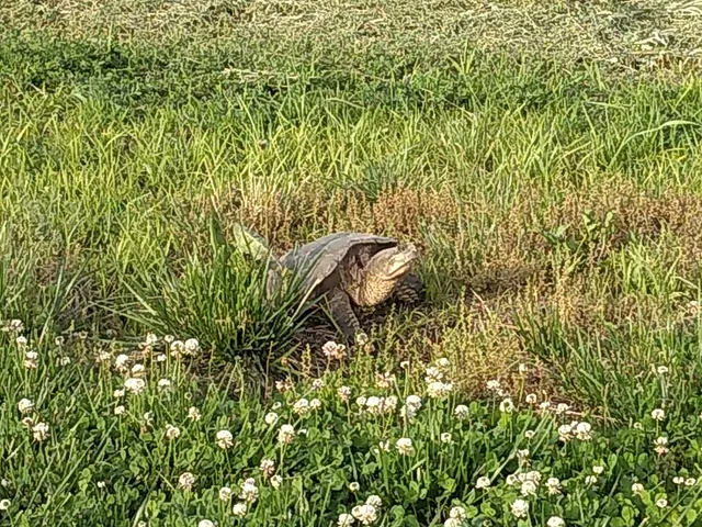 Mills County Fairgrounds