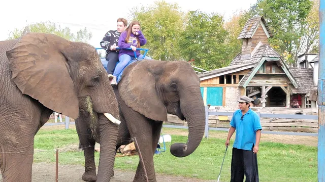 Minnesota Renaissance Festival Back Gate/Queens Gate
