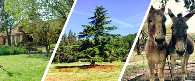 Traiteur - Salle de réception Clos des Eyssauts