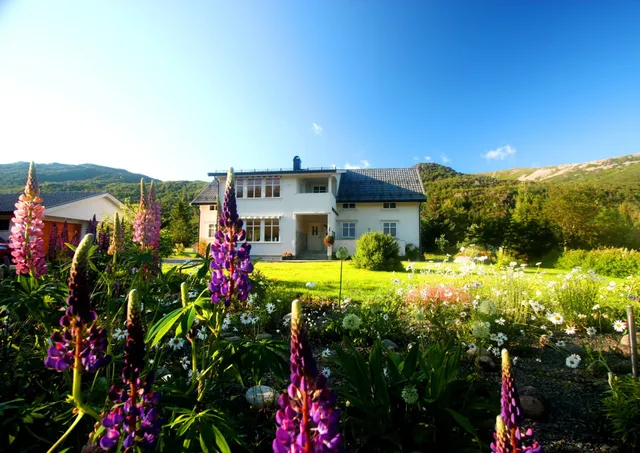 Anne Gerd's Lofoten B&B