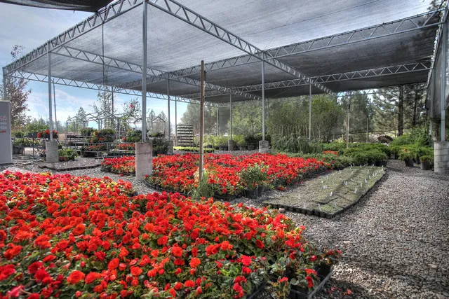 Rock & Rose Nursery + Landscape
