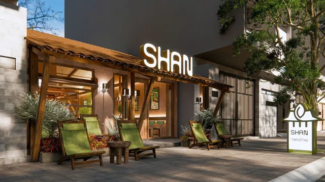 Shan - Trà cổ thụ (Võ Cường)