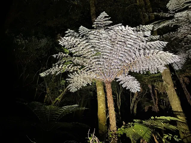 Real Rotorua Glow Worms, Lakes & Geothermal tours.