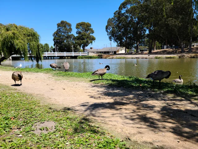 El Estero Park Center