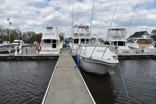 Nanticoke River Marina