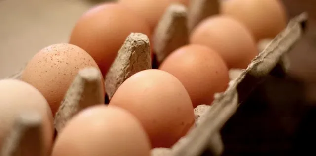 Larry Schultz Organic Farm