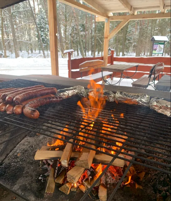 Grill Bar ( old boar)