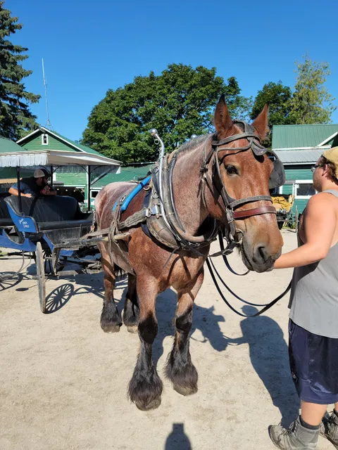 Jack's Livery Stable