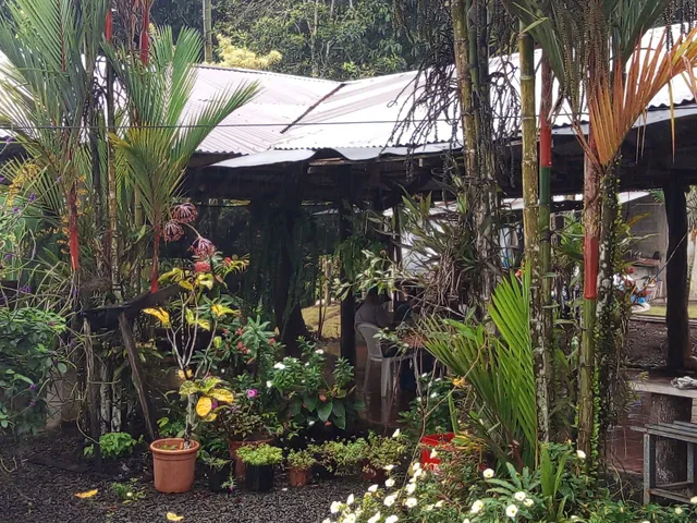 Restaurante y cabinas Las Iguanas