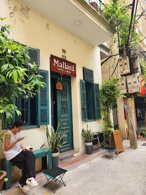 Mallard | Coffee and Music