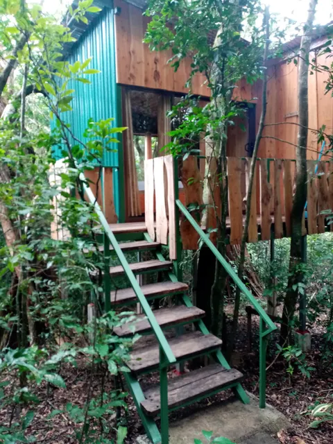 The Green Tree Lodge