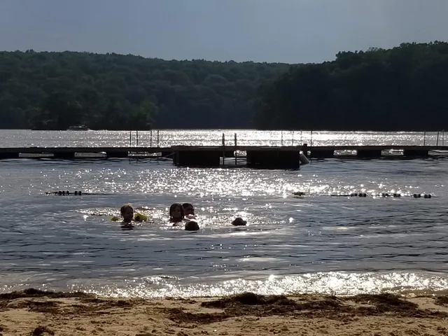 Lake Forest Yacht Club Inc