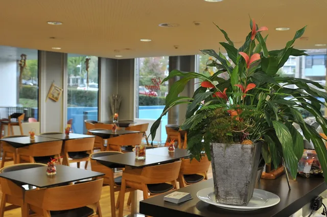 L'Intemporel | Café-restaurant social