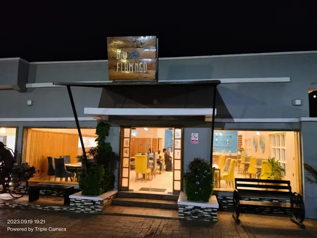 Blu Flamingo Restaurant