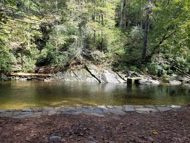 Davidson River Recreational Area